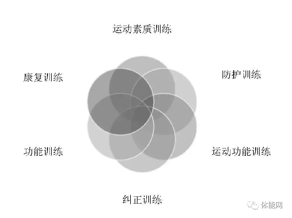 为什么可靠的篮球技术指导对初学者很重要?_0
